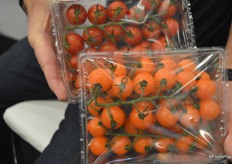 Early June NatureFresh Farms is expected to launch 2 lbs. clubstore packs with cherries on-the-vine. The product will be sold under the NatureFresh label and will have a premium look.